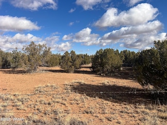 3833 Ramsey Rd, Snowflake, AZ 85937