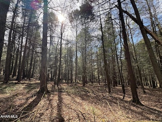 Off Pine Valley Rd, Fairhope, PA 15538