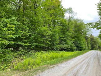 Lot 1 Crown Point Rd, Plymouth, VT 05056