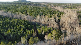 0 Lee Road 254 Unit 22764318, Salem, AL 36874