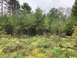 24-183 Cth C, Saint Germain, WI 54560