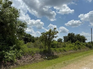 14568 NW 264th St, Okeechobee, FL 34972