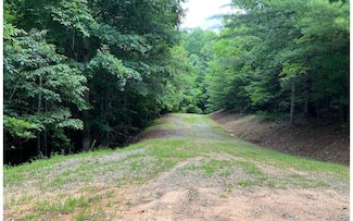 0 Maple Grove Rd Unit 407872, Morganton, GA 30560