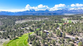 1015 Marmot Dr, Ridgway, CO 81432