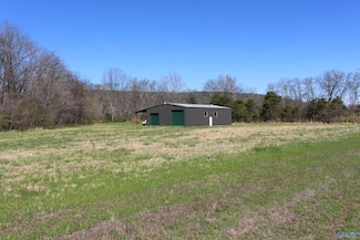 356 Sharps Hollow Rd, New Market, AL 35761