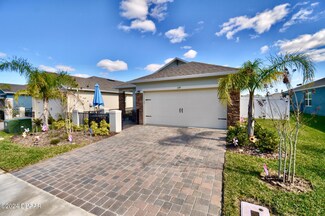 279 Caryota Ct, New Smyrna Beach, FL 32168
