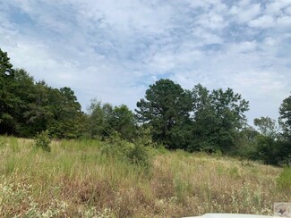TBD Hwy 77 E, Atlanta, TX 75551