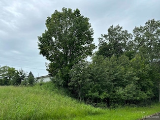 TBD E Hughitt St, Iron Mountain, MI 49801