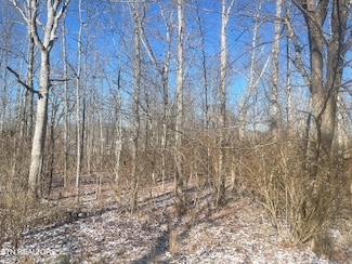 2030 Coweta Dr, Crossville, TN 38572