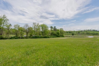 TBD E Lee Hwy, Max Meadows, VA 24360