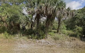 1425 Adalia Terrace, Point Charlotte, FL 33953