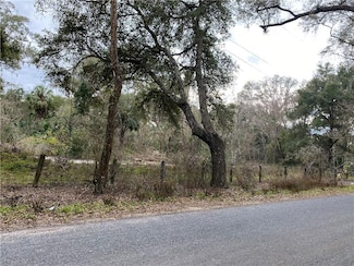 4100 NW 160th St, Reddick, FL 32686