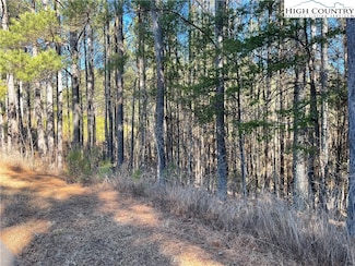 109 Shortoff Trail, Morganton, NC 28655