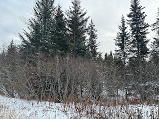 000 Old Sterling Hwy, Anchor Point, AK 99556