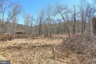 00 Rt 850 W Unit 2 PARCEL, Honey Grove, PA 17035