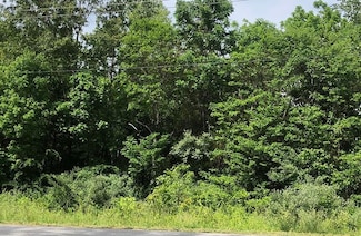 0 Nameoki Dr, Cherokee Village, AR 72529