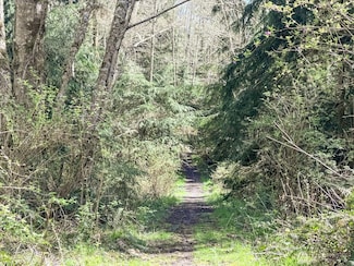 0 Forest View Ln, Greenbank, WA 98253
