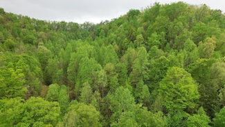 0 Saul Mud Lick Branch, Buckhorn, KY 41721