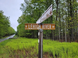 1230 N Lehigh River J Dr, Clifton Township, PA 18424