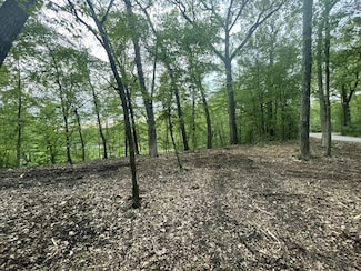 Lot 1 Shore Acres Rd, Merton, WI 53029