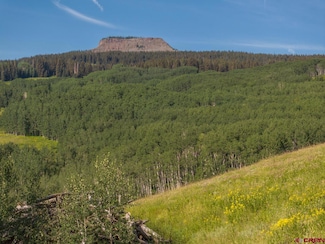 465 Oversteeg Gulch Rd, Crested Butte, CO 81224