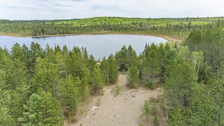 10350 Victor Lake Rd, Stony River Township, MN 55607