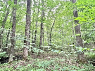 445 Powder House Rd, Craigsville, WV 24801