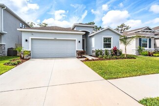 13061 Brookside Moss Dr, Riverview, FL 33579