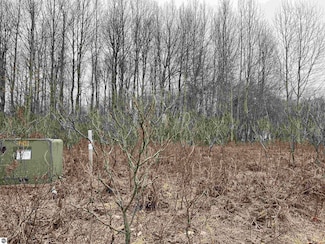 Lot 20 Crestview Dr, Clam Lake Township, MI 49601