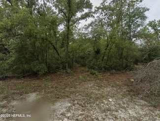 164 Lake Cir, Satsuma, FL 32189