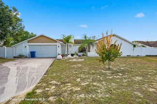 12444 Shafton Rd, Spring Hill, FL 34609