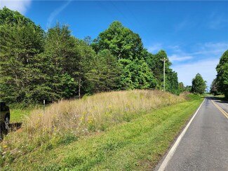 000 Toms Creek Church Rd, Pilot Mountain, NC 27041