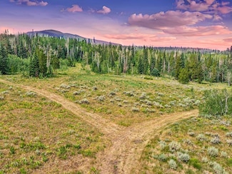 TBD Spring Creek Ranch Rd, Silverthorne, CO 80498
