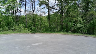 Lot 10 Antler Ridge, Dandridge, TN 37725