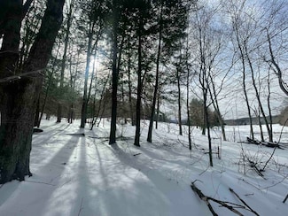 530 Finbars Forest Rd, Manchester Center, VT 05255