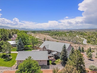 16885 Wildwood Dr, Montrose, CO 81403