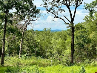 4193 County Road 36, Salesville, AR 72653