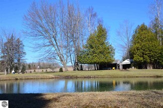 3456 Mckellar Rd, Rose City, MI 48654