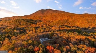 2903 Old Federal Rd S, Chatsworth, GA 30705