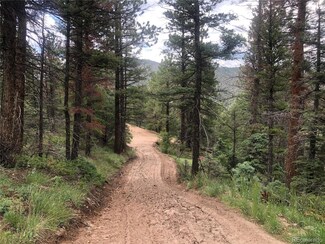 00 Whittney Rd, Fort Garland, CO 81133