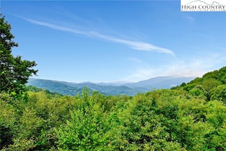 86 Tyneridge Rd, Banner Elk, NC 28604