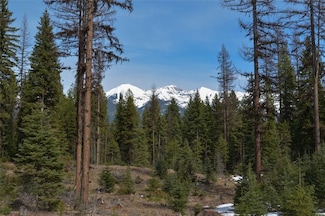 0 Nhn Scenic Dr, Condon, MT 59826