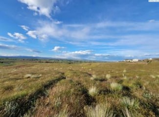Tbd S Ward Gap Rd (242 Pr Sw), Prosser, WA 99350