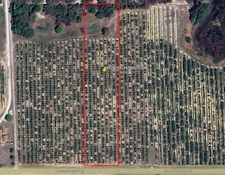 0 Mammoth Grove Rd Unit MFRP4935047, Lake Wales, FL 33898