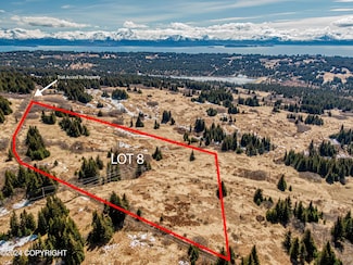 L8 Salin's Spur Rd, Homer, AK 99603