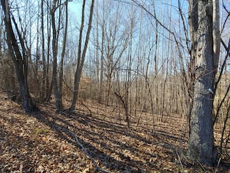 LOT 10 Horseshoe Bend Rd, Goodview, VA 24095