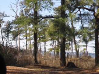 Lot # 3 Wildcat Ln Unit 3, Chincoteague, VA 23336