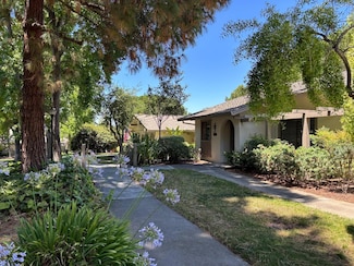5235 Cribari Hills, San Jose, CA 95135