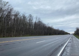 VL Lake Shore Rd, Hamburg, NY 14085