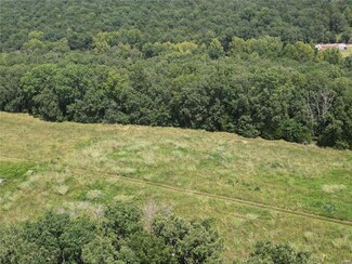 2 Lot Tanglefoot Farms Rd, Festus, MO 63028